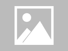 Arista Networks' Q3 Dip: Opportunity or Omen?